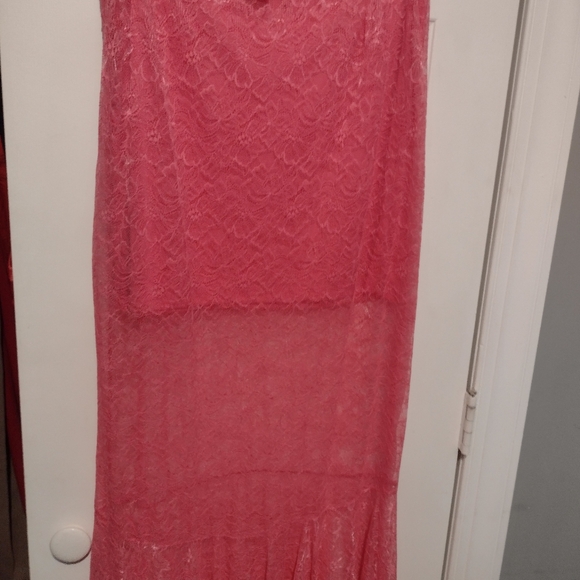 Anthropologie Pink Sheer Lace Mermaid Skirt NWT - Picture 4 of 6